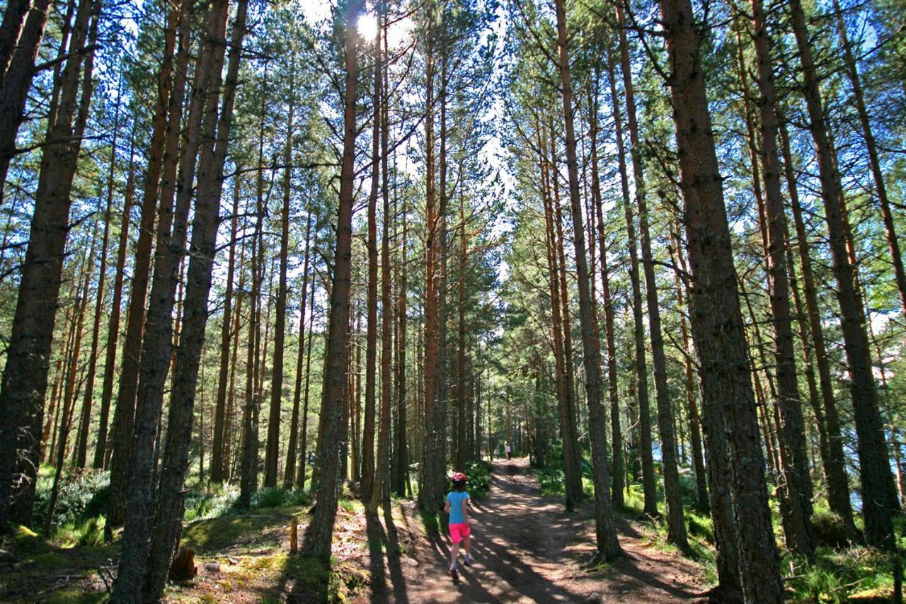 Tigh Na Lochan Aviemore Eksteriør bilde